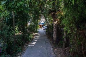 Vrt pred nastanitvijo Yeti Guest House