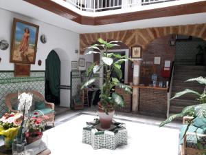 Fotografia z galérie ubytovania Hostal Centro Sol v destinácii Cádiz
