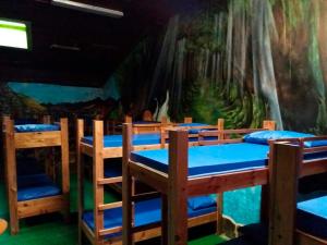 a group of bunk beds in a room with a mural at Pensi&oacute;n Albergue Matias Locanda in Sarria