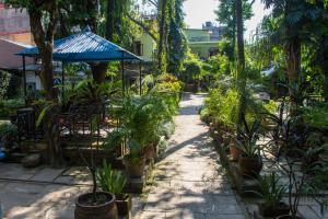 Vrt pred nastanitvijo Yeti Guest House