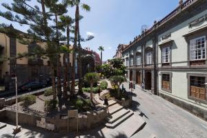 拉斯帕爾馬斯的住宿－Casa Espiritu Santo，一条拥有棕榈树和建筑的城市街道