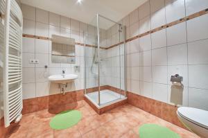 y baño con ducha, lavabo y aseo. en M's Wood Appartement, en Maishofen