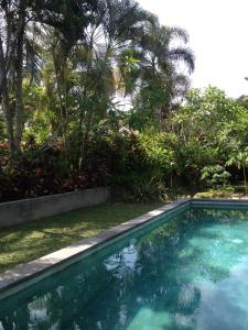 Bazén v ubytování Bali Firefly BnB nebo v jeho okolí