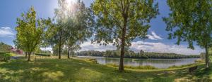 エンマースドルフ・アン・デア・ドナウにあるWirtshaus Gruber Weiteneggの湖と木々の景色を望む公園