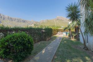 a garden with a palm tree and a sidewalk at Apartamentos Massol in Port de Pollensa
