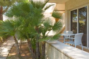 a couple of palm trees in front of a porch at Apartamentos Massol in Port de Pollensa