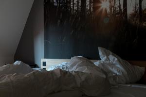 Letto o letti in una camera di Hotel Schwarzwälder Hof