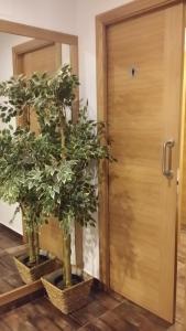 Fotografie z fotogalerie ubytování Albergue Ultreia v destinaci Arzúa