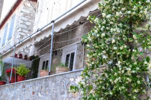 Fotografie z fotogalerie ubytování Pension Efie v destinaci Hydra