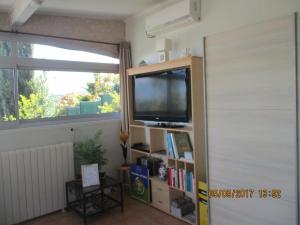 sala de estar con TV y estante de libros en La Colombe, en Vienne