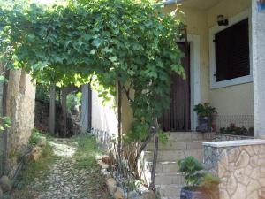 a small tree in front of a house at Apartment Djanina in Cres