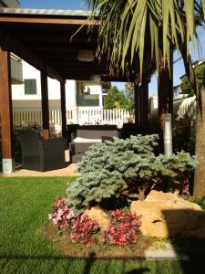 a garden with a rock and flowers in a yard at Acquamarina B&B in Martinsicuro