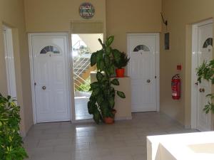 korytarz z dwoma białymi drzwiami i rośliną w obiekcie Alexia Apartments & Studios w mieście Kremasti