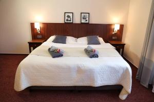 1 dormitorio con 1 cama grande y 2 almohadas en Villa Grohmann en Lipova Lazne
