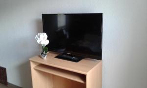 TV a/nebo společenská místnost v ubytování Gaststätte & Pension Jägerwäldchen