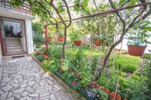 Fotografie z fotogalerie ubytování Ranko Apartments v destinaci Risan