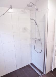 y baño con ducha y puerta de cristal. en Ferienunterkunft Börner, en Ehlscheid