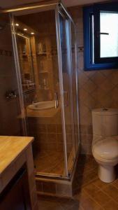 a bathroom with a shower and a toilet and a sink at Villa Polymnia in Emborios