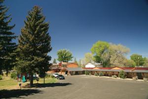 un gran pino frente a un edificio en Black Canyon Motel, en Montrose