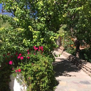 Gallery image of Hotel Corvatsch in San Pedro de Atacama