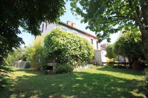 Κήπος έξω από το B&B am See Köln - Privatzimmer