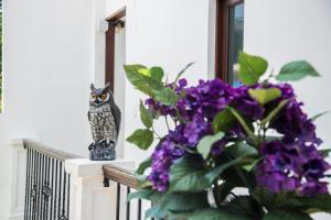 a cat sitting on top of a balcony next to a plant at Colonial 154 H Boutique in Santo Domingo