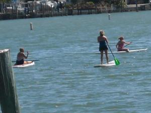 um grupo de pessoas em pranchas de surf na água em Boca Ciega Bay Apartment em St. Pete Beach