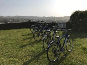 a group of bikes parked in the grass at Maison de La pointe in Brignogan-Plage