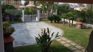 A garden outside Casammare