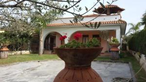 A garden outside Casammare