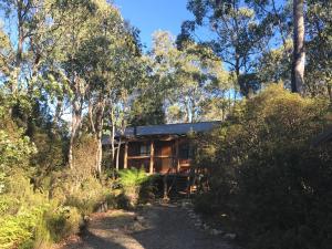 山林小屋所在大楼