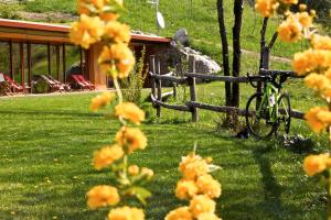 A garden outside Casariga