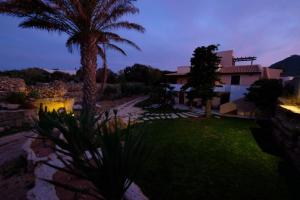 a yard with a palm tree and a house at Villa Oblò in Favignana