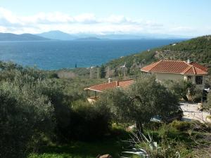 Táj Show holiday homes közelében
