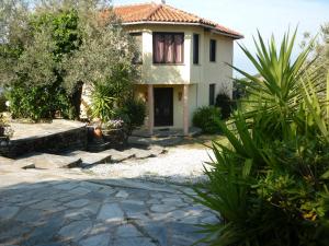 A garden outside The Place by the Sun
