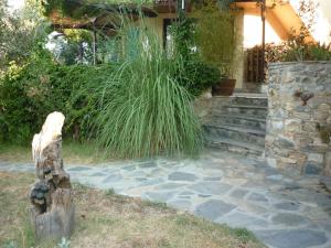 A garden outside The Place by the Sun