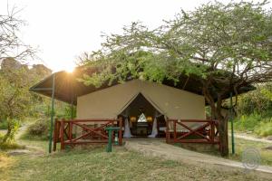 une petite tente dans un champ avec un arbre dans l'établissement Mbuzi Mawe Serena Camp, à Serengeti