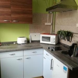Kuchyň nebo kuchyňský kout v ubytování Apartmany Kras