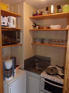 a small kitchen with a stove and a sink at Les Aliziers in Super Besse