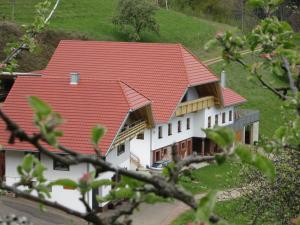 a house with a red roof on a hill at Stinneshof in Oberharmersbach