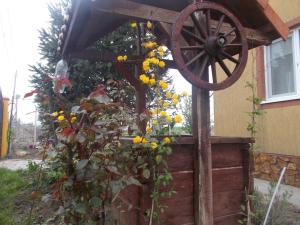 Zahrada ubytování Casa Antonia