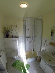 a bathroom with a shower and a toilet and a sink at Ferienwohnung Ritter in Schmiedefeld am Rennsteig