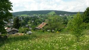a field of flowers with a town in the background at Ferienwohnung Ritter in Schmiedefeld am Rennsteig