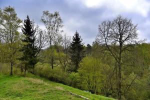 Fotografie z fotogalerie ubytování Holiday home Turovec v Táboře