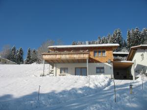 una casa en la nieve con árboles en el fondo en Haus Lenzhalde en Oberreute