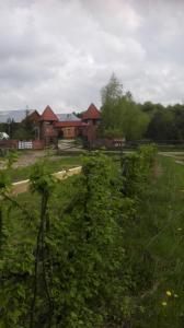 a house in the middle of a field with bushes at Stadnina koni Tarka in Zwierzyniec