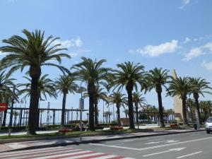 a city street with palm trees and palm trees at Hostal Tahiti RS in Salou