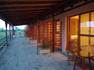 Čenej的住宿－Salaš Farma 47-Miris Dunja，庭院里一排桌椅