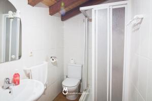 een badkamer met een toilet, een wastafel en een douche bij Casa Rural Eleizondo Haundia in Itziar