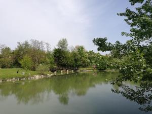 Φυσικό τοπίο κοντά σε αυτός ο ξενώνας +4 φωτογραφίες